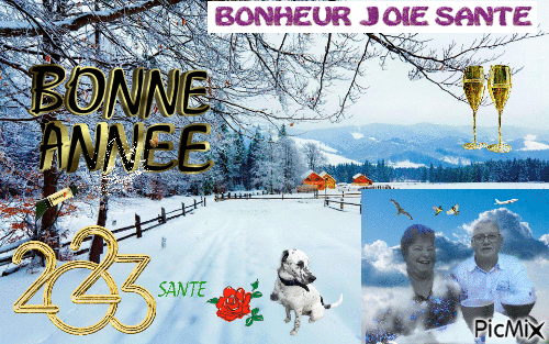 bonheur joie santé - Zdarma animovaný GIF