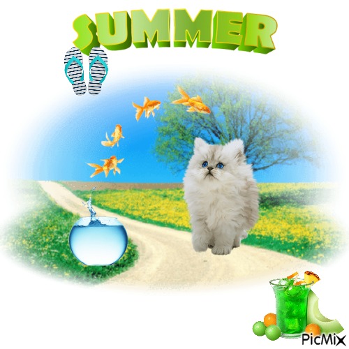 Summer Of The Cat - png gratis