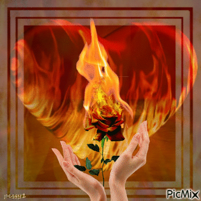 rose on fire - Nemokamas animacinis gif