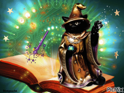 Chat magicien - Free animated GIF