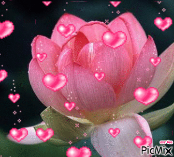 gife flores - GIF animado grátis
