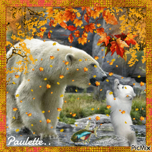 ours polaire - Darmowy animowany GIF