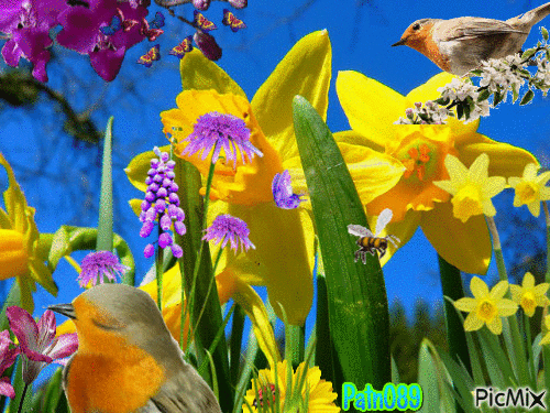 Le printemps - Безплатен анимиран GIF