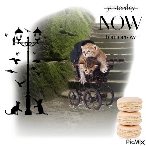 Yesterday....NOW....Tomorrow - kostenlos png