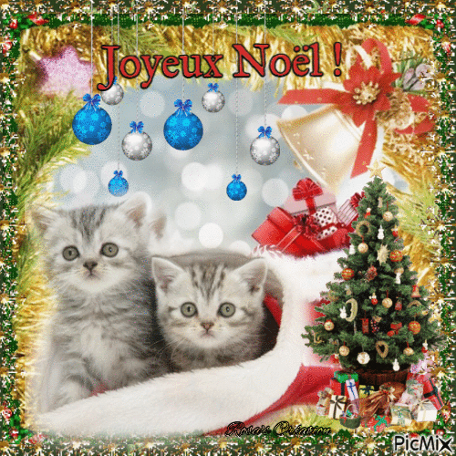 Concours : Chat de Noël - Free animated GIF