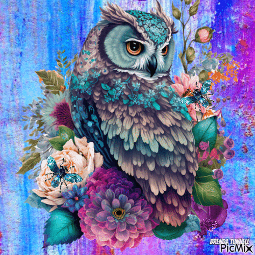 owl - Nemokamas animacinis gif