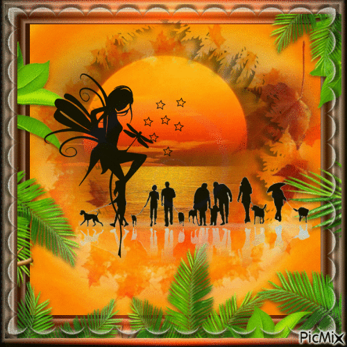 coucher de soleil sous les tropique - Бесплатный анимированный гифка