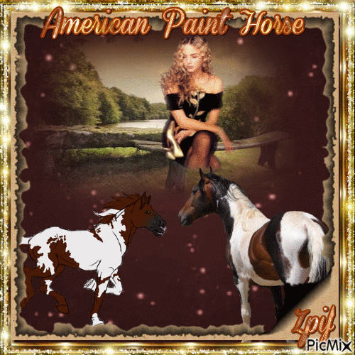 american paint horse - Animovaný GIF zadarmo