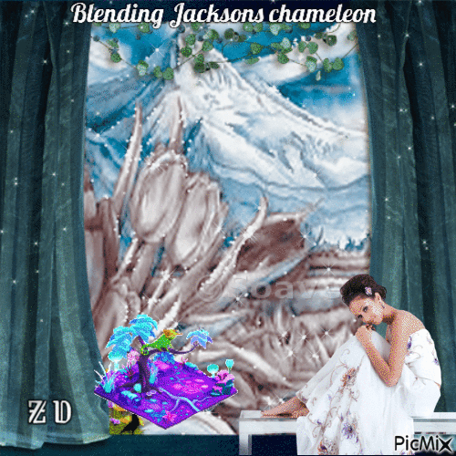 Blending Jacksons chameleon - Gratis animerad GIF