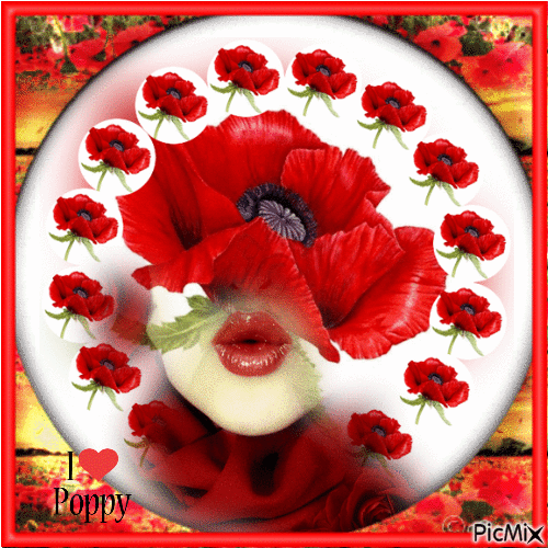 I love poppies - Besplatni animirani GIF
