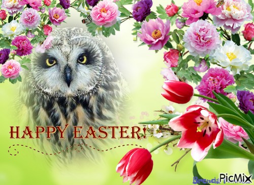 easter owl - PNG gratuit