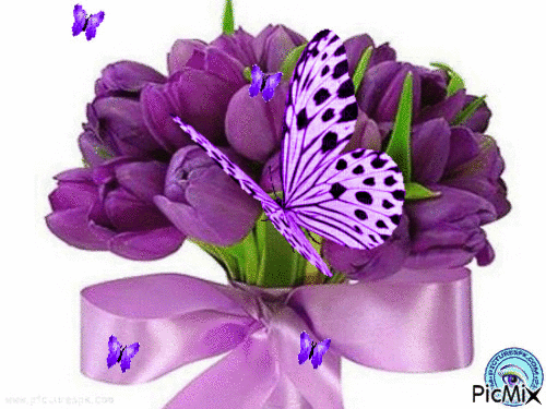 PURPLE FLOWERS AND PURPLE BUTTERFLIES.3 - Free animated GIF