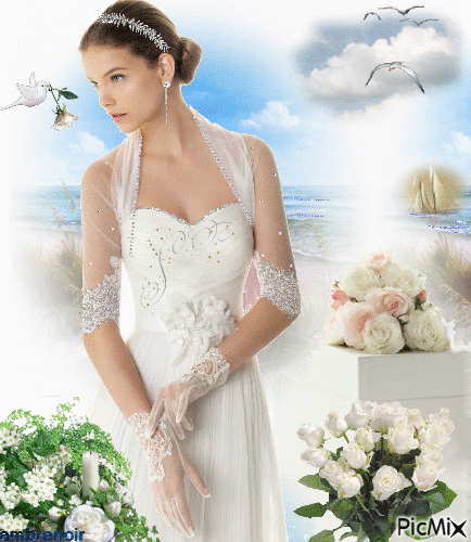 la mariée de mars sur fond océan - 無料のアニメーション GIF