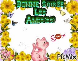 Bonne Soirée - Free animated GIF