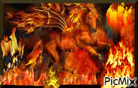 feu - Ingyenes animált GIF