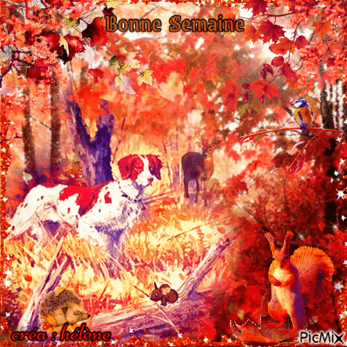 concours : Journée d'automne - Δωρεάν κινούμενο GIF