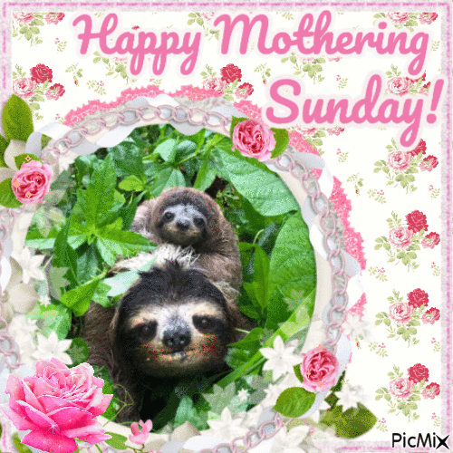 Mothering Sunday Sloths - Free animated GIF