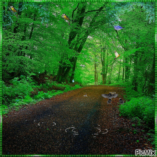 Forest - Free animated GIF