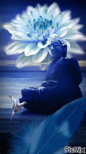 Buda en azules - Δωρεάν κινούμενο GIF