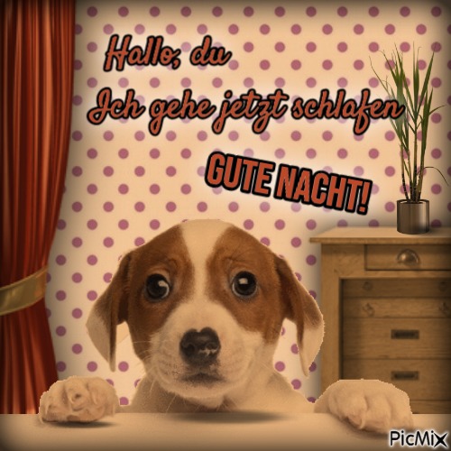 Gute Nacht - 免费PNG