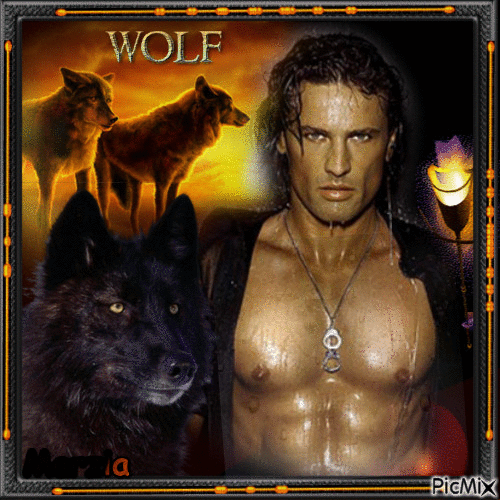 Wolf look - Free animated GIF