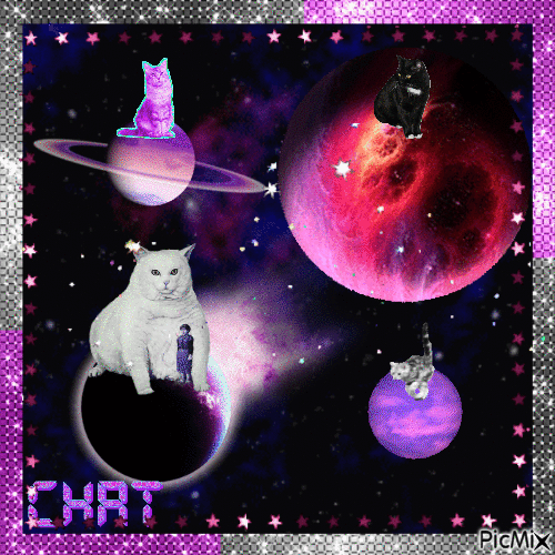 Space Cats - Bezmaksas animēts GIF