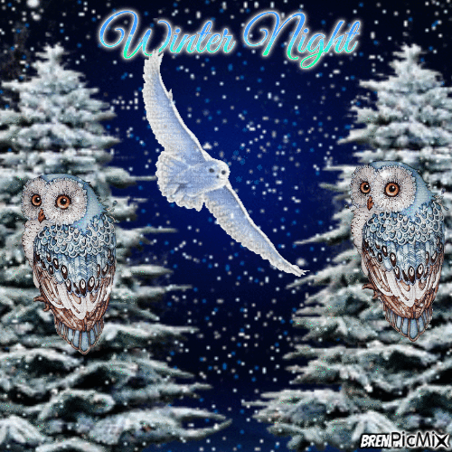 winter owl - GIF เคลื่อนไหวฟรี