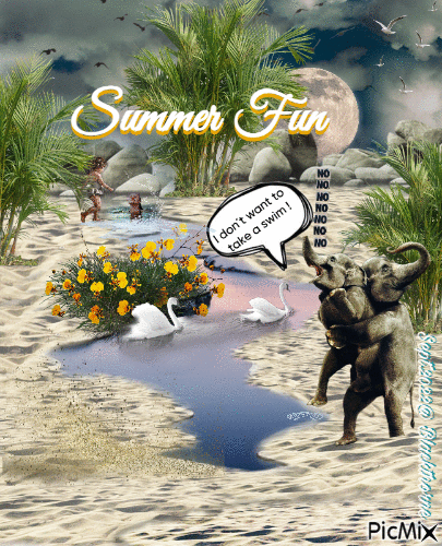 Summer Fun - GIF animé gratuit