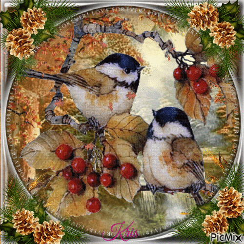 Les oiseaux en automne - Besplatni animirani GIF