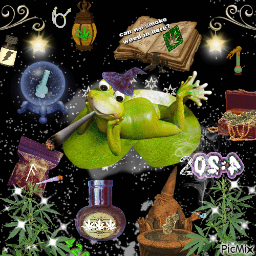 gay weed wizard frog - Бесплатный анимированный гифка