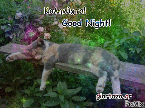 Καληνύχτα!Good Night! - GIF animado gratis