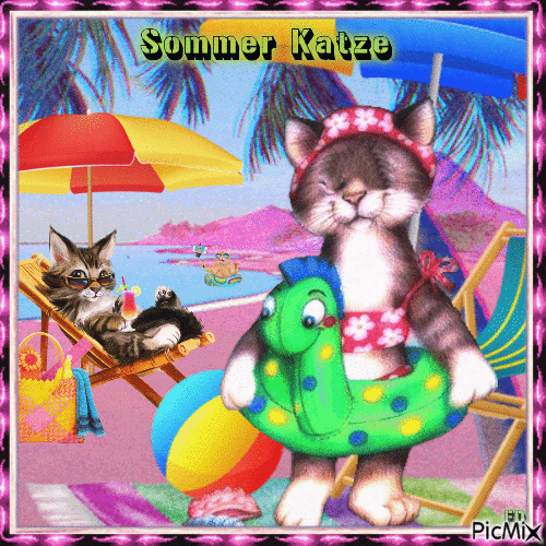 Sommer Katze - GIF animé gratuit