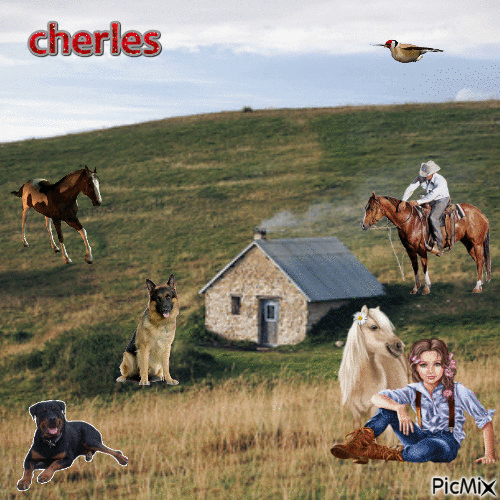 charles - Gratis animeret GIF
