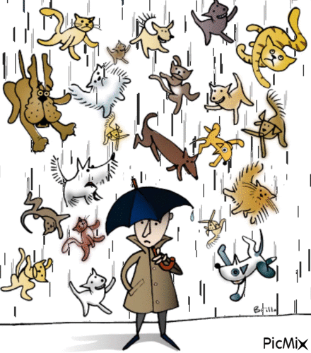 Raining Cats and Dogs - Gratis animeret GIF