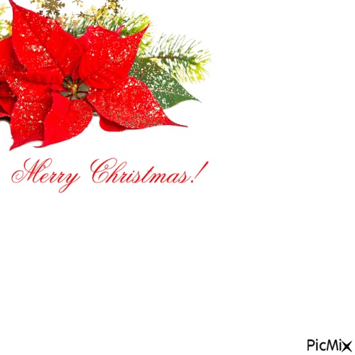 Buon Natale 🎁 - PNG gratuit