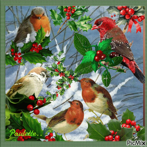 les oiseaux en hiver - Gratis animeret GIF