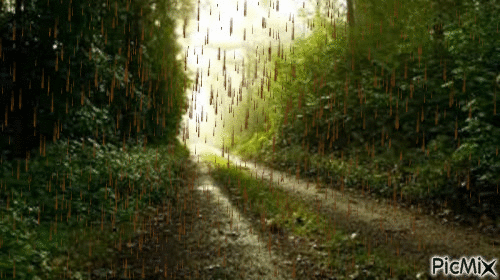 pioggia - GIF animasi gratis