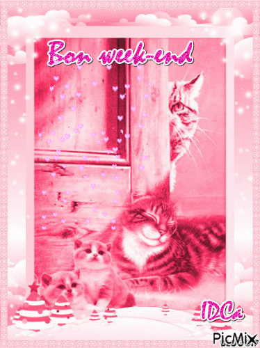 Bon week-end les chatons - Bezmaksas animēts GIF