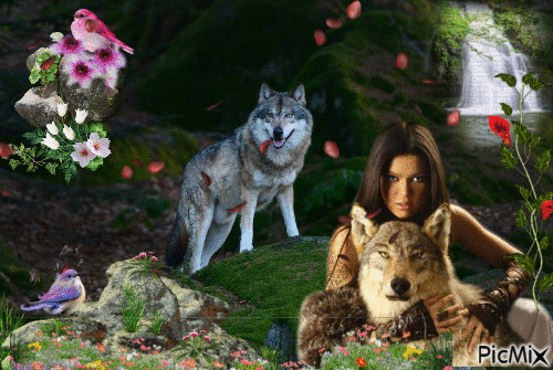 Préserver le Loup dans la Nature - Zdarma animovaný GIF
