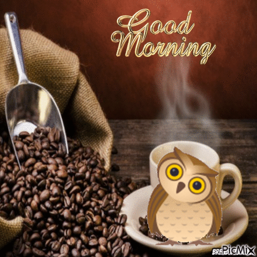good morning owl - Бесплатный анимированный гифка