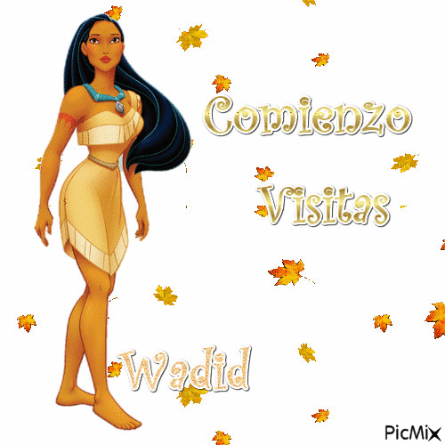 Pocahontas Wadid - Бесплатный анимированный гифка