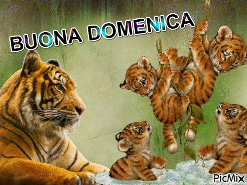 BUONA DOMENICA - Zdarma animovaný GIF