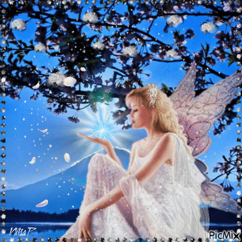 The fairy light 🧚 Contest - Δωρεάν κινούμενο GIF