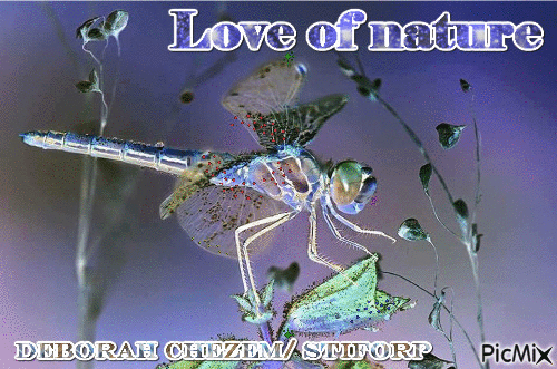 Love of nature - GIF animasi gratis