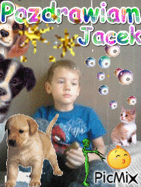 Jacek - 免费动画 GIF