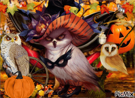 halloween owl cover - GIF animé gratuit