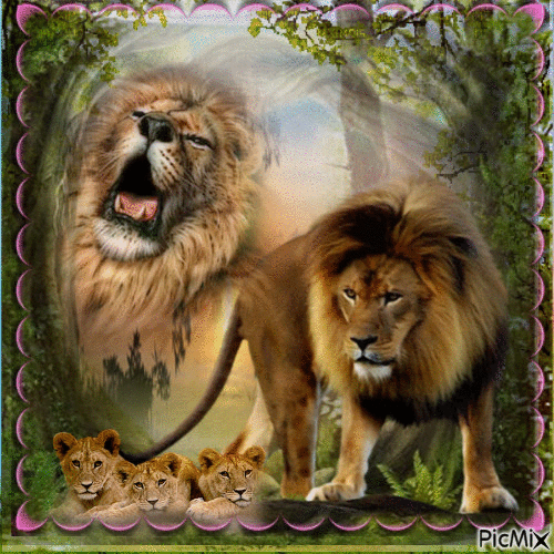 lion - Zdarma animovaný GIF