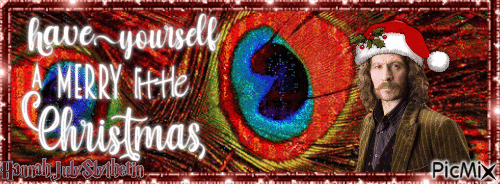 {♦}Sirius Black - Merry Little Christmas Banner{♦} - Ücretsiz animasyonlu GIF