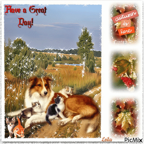Autumn is here. Have a Great day. Dog and cats