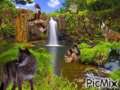 Amour des loups - darmowe png